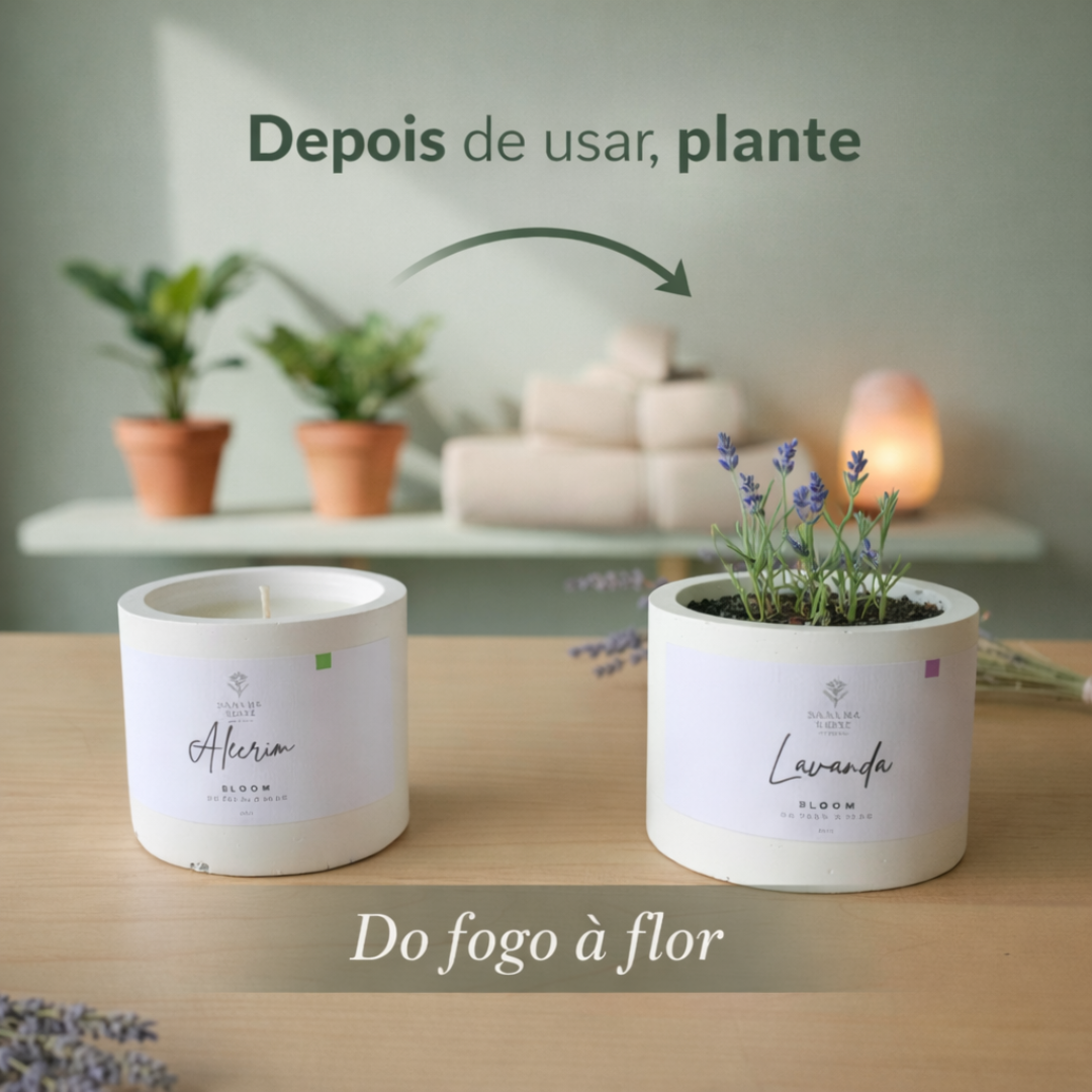 Vaso de cimento reutilizado como mini jardim após queima da vela